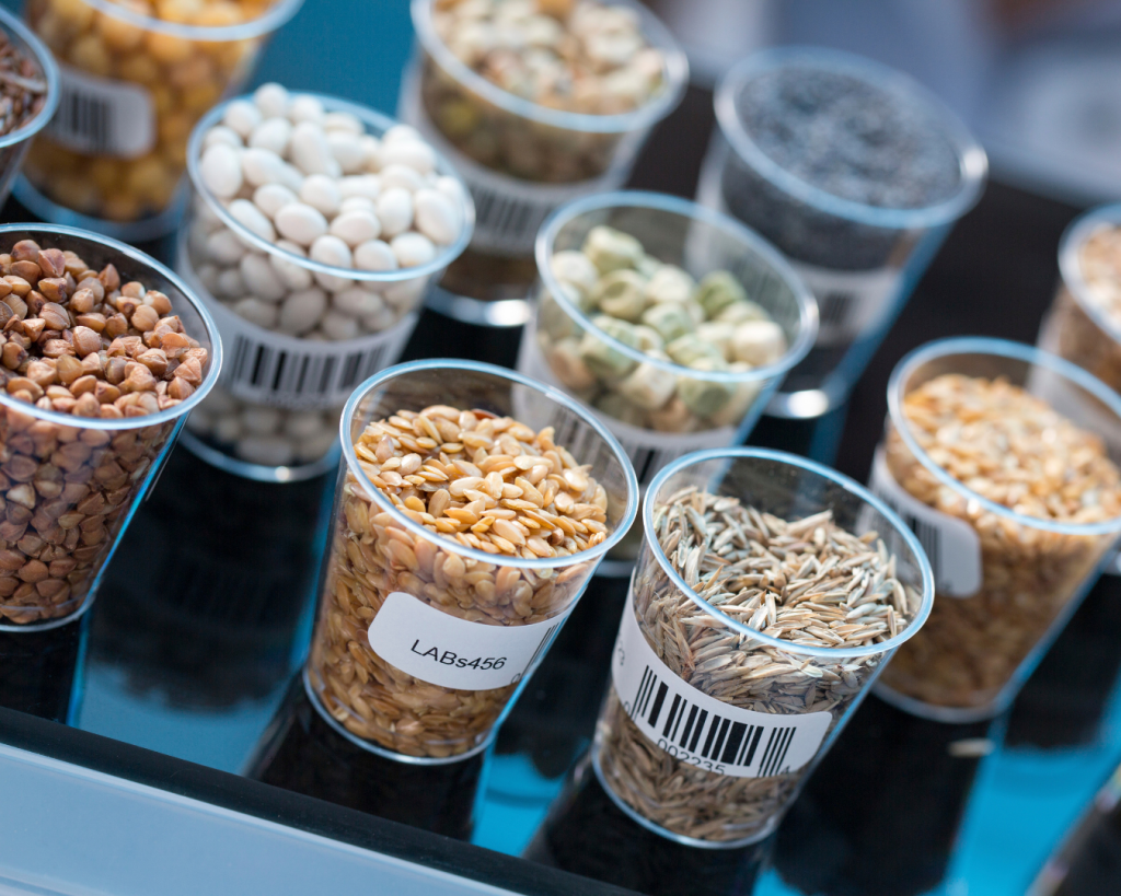 Various grain and agricultural samples prepared for laboratory analysis.